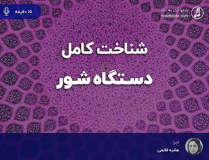 آشنایی کامل با دستگاه شور 