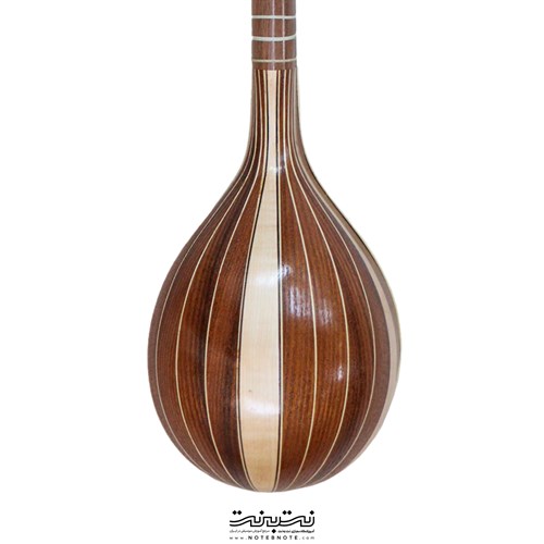 سه تار مهر شگرفی  SE-325 